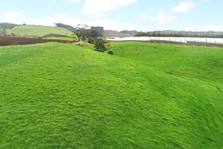 969 Tuakau Bridge-Port Waikato Roa Te Kohanga_5