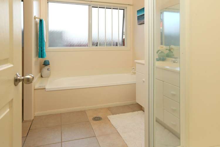 19a Tyburnia Avenue Mount Albert_15