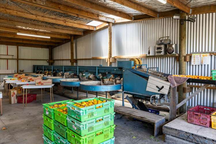 209 Onehunga Road Bay View_23