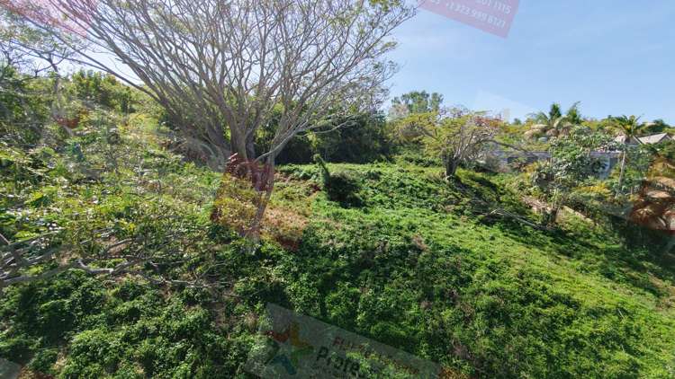 Lot Lot/1 Old Queens Road Sigatoka_11