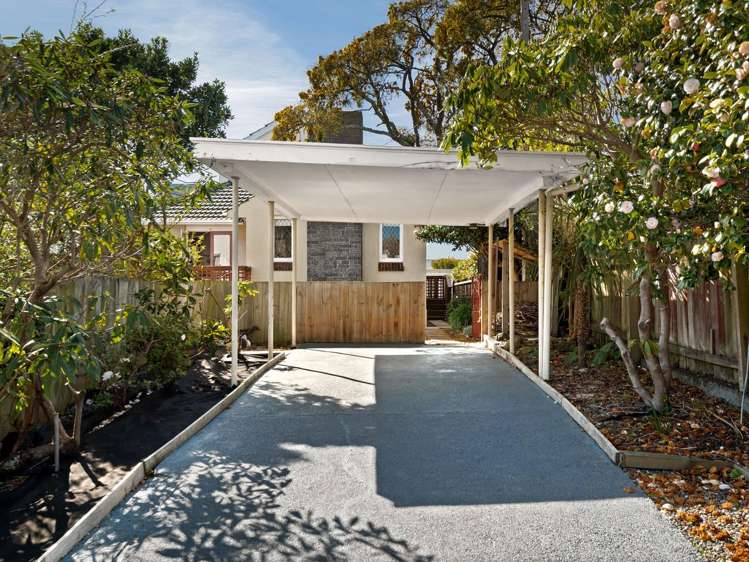 182 Maitland Street Dunedin Central_20
