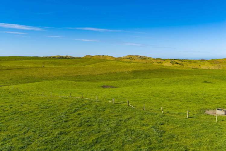 559 Mahuta Road Dargaville_19