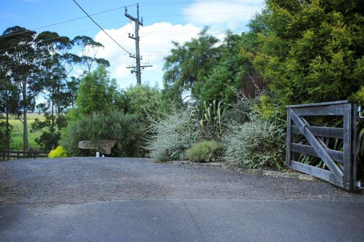 794 Island Block Road Te Kauwhata_17