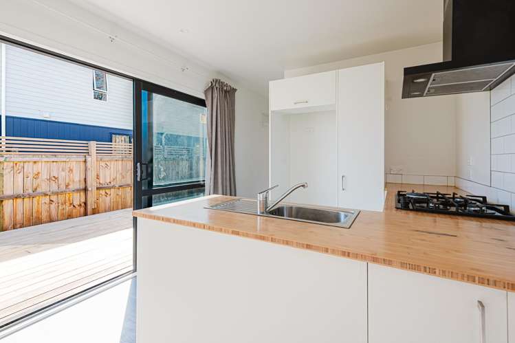 1103 Saint Aubyn Street East Parkvale_12