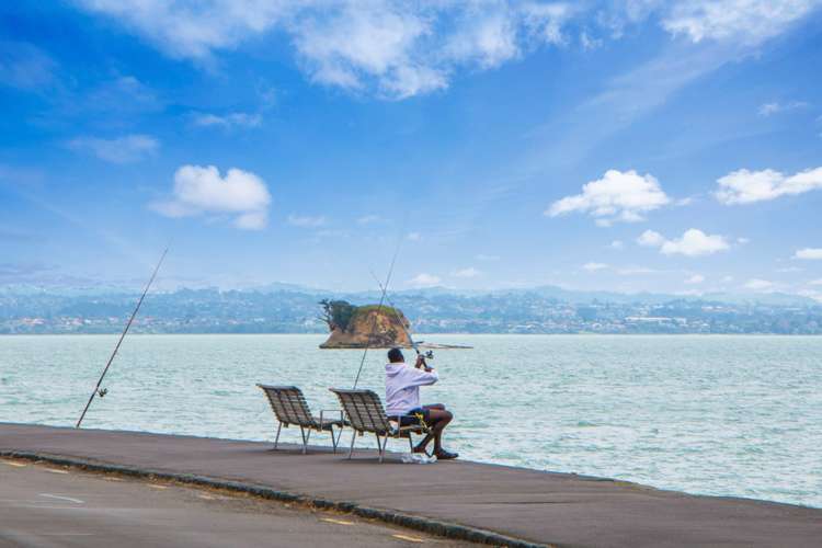 9/117 Shelly Beach Road Saint Marys Bay_13