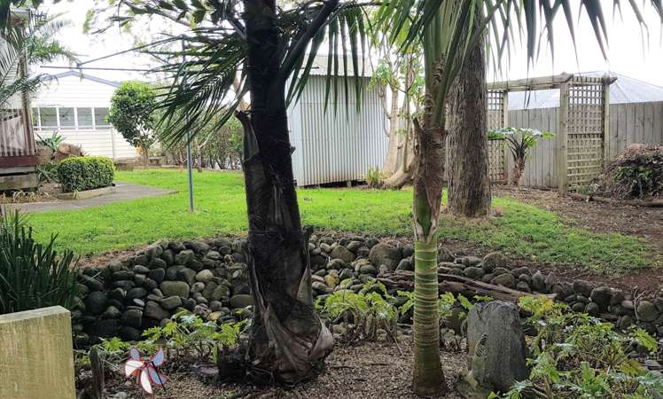 8 Colombo Road Waiuku_12