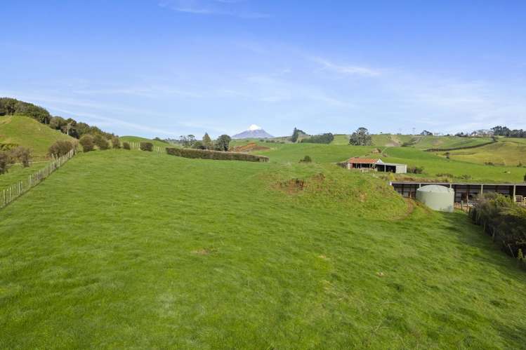 1234 Richmond Road Everett Park_18