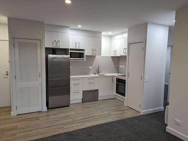 7B/125A Hobson Street Auckland Central_4