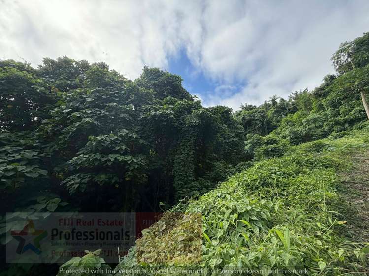 Address withheld Savusavu_8