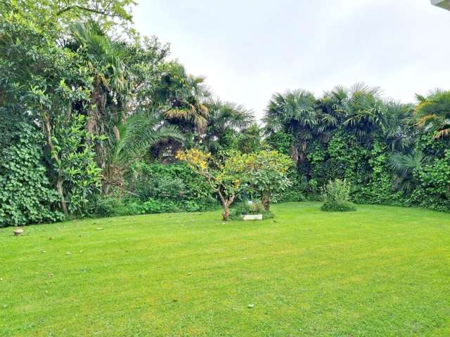 2a Gallagher Street Te Aroha_4