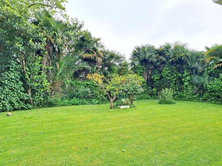 2a Gallagher Street Te Aroha_4