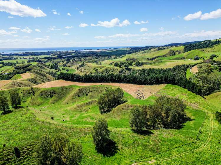 1-6/461 Otamarakau Valley Road Pukehina_22