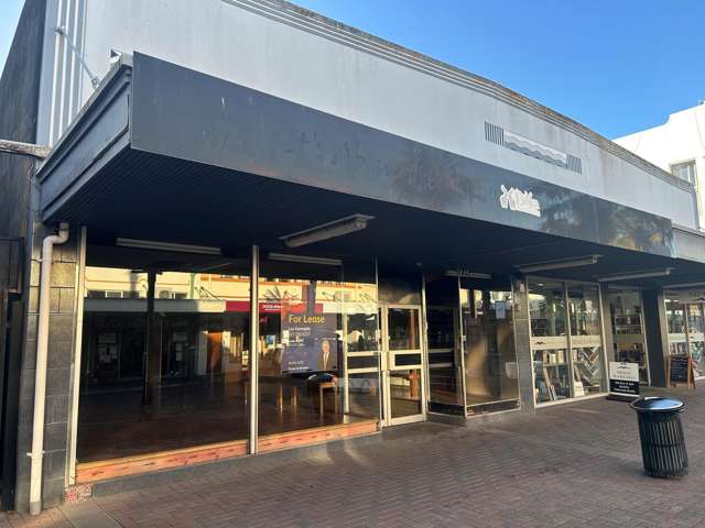 246 Emerson Street Napier South_1