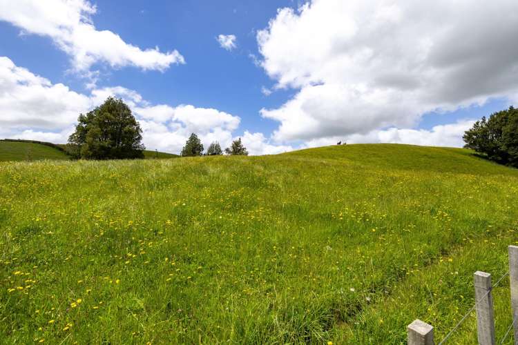 467A Te Mata Road Raglan_3