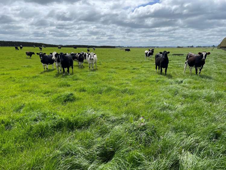 150 Spur Road West Colyton_10