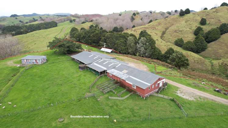 398 Bull Road Paparoa_5