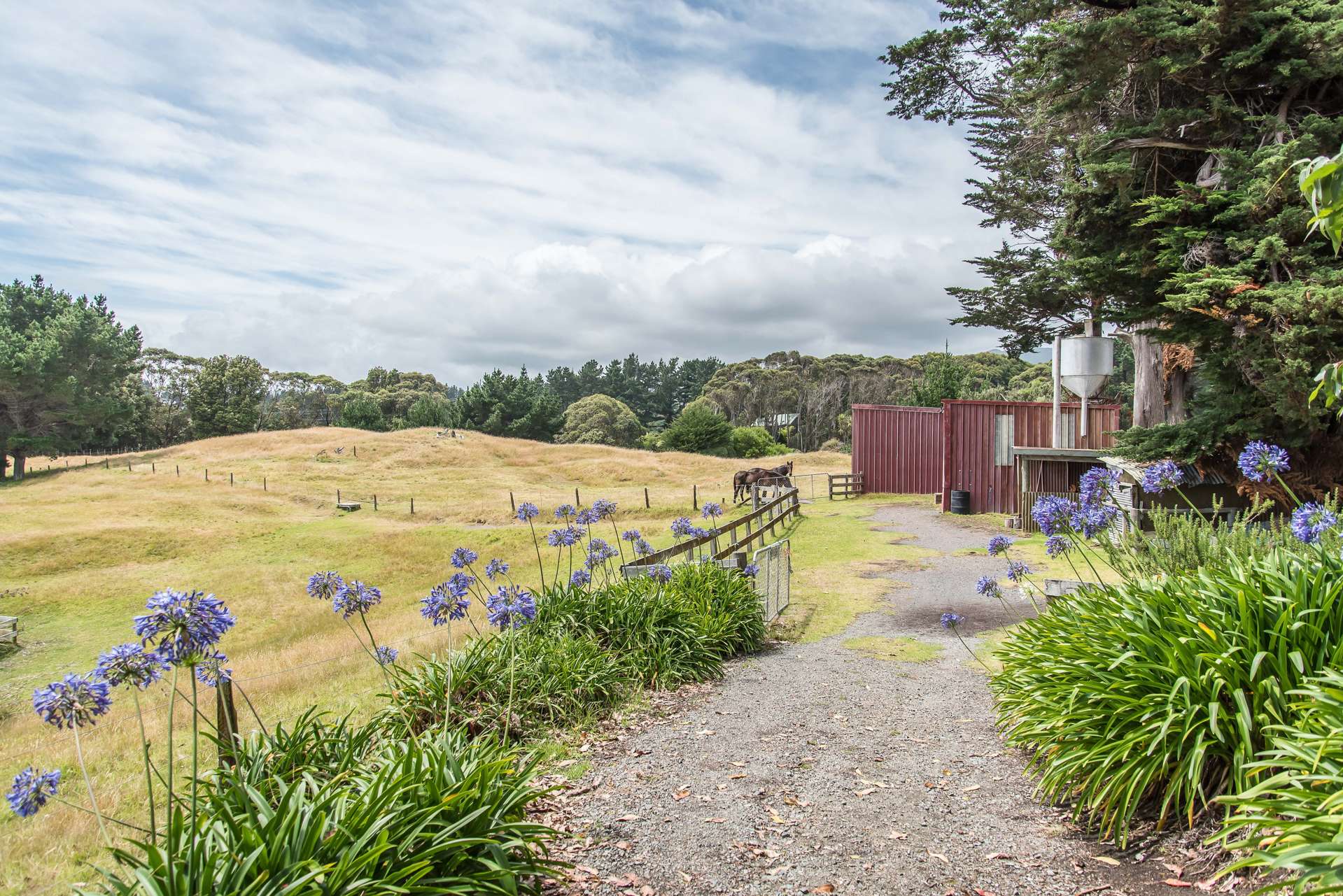 176 Te Hapua Road Te Horo_0