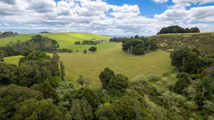 5631 State Highway 12 Kaikohe_21