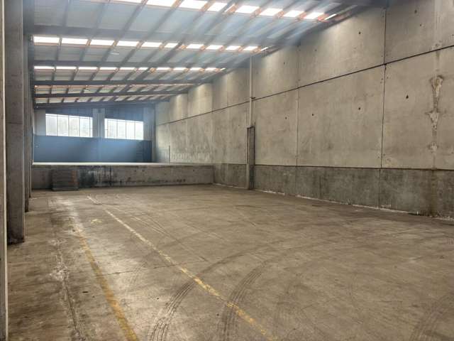 591 Rosebank Road Avondale_4