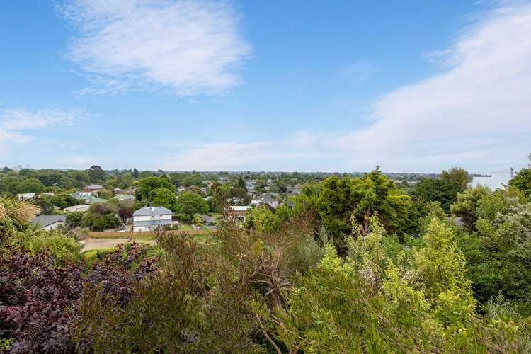 361 Centaurus Road Hillsborough_15