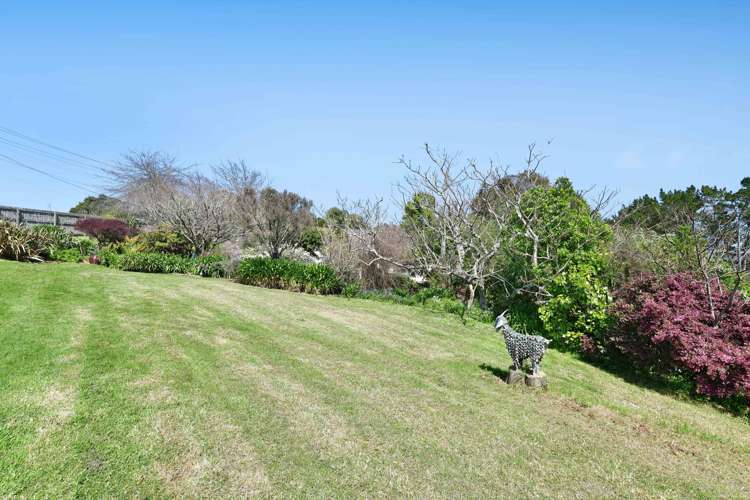 241 Kiwitahi Road Helensville_25