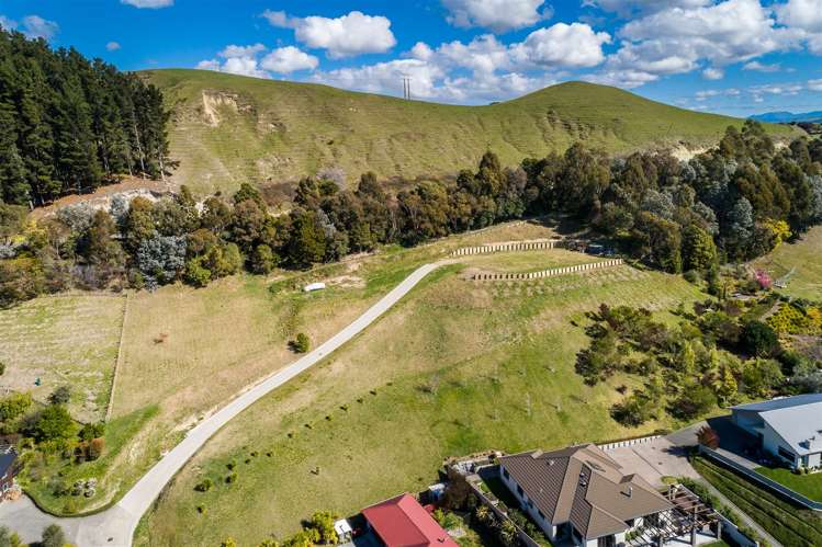 106 Kent Terrace Taradale_5