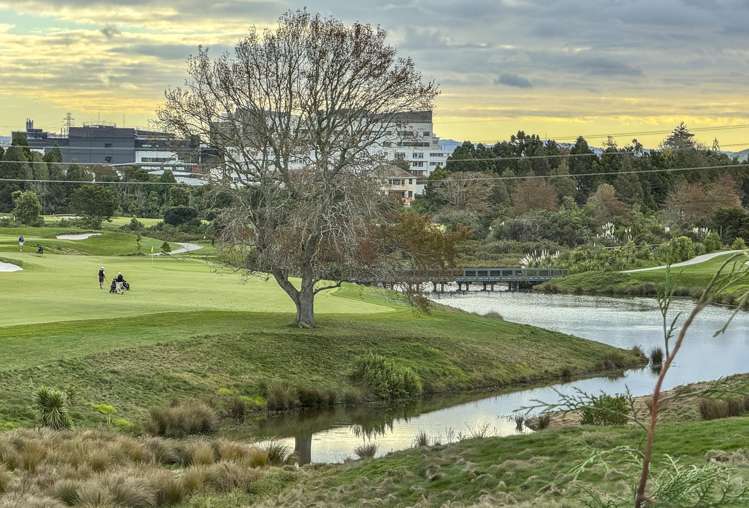 21 Puia Street Papatoetoe_27