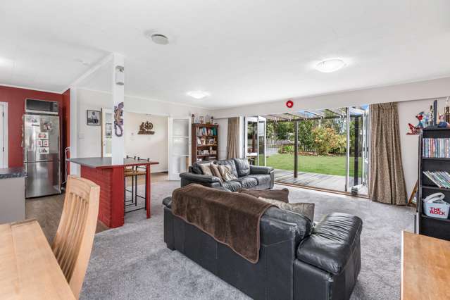 80 Coronation Road Morrinsville_3