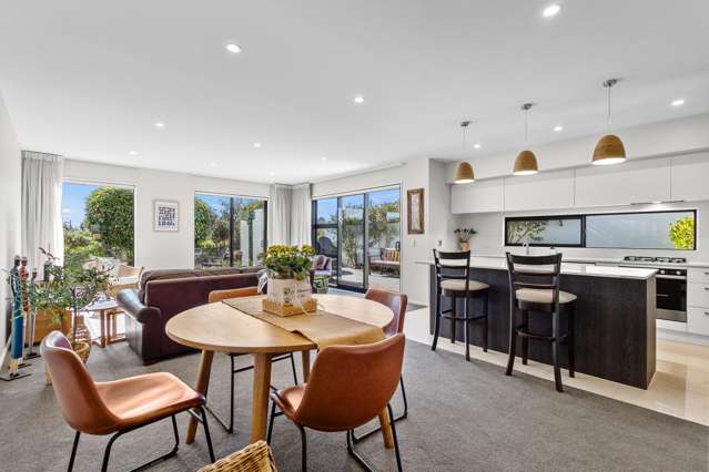 100 Te Rito Street Marshland_1