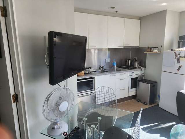 12b/33 Mount Street Auckland Central_1