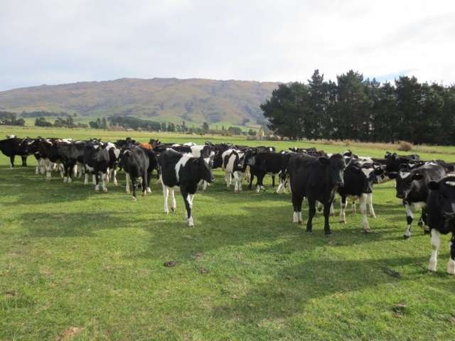 759 Gladbrook Road Middlemarch_1