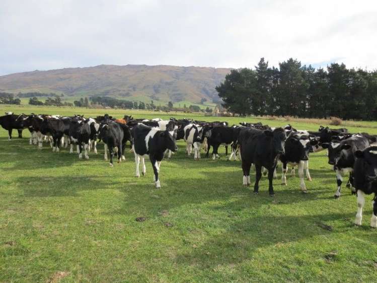 759 Gladbrook Road Middlemarch_1