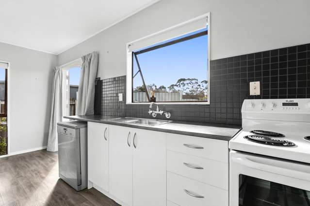 135a Tavistock Road Waipukurau and Surrounds_2