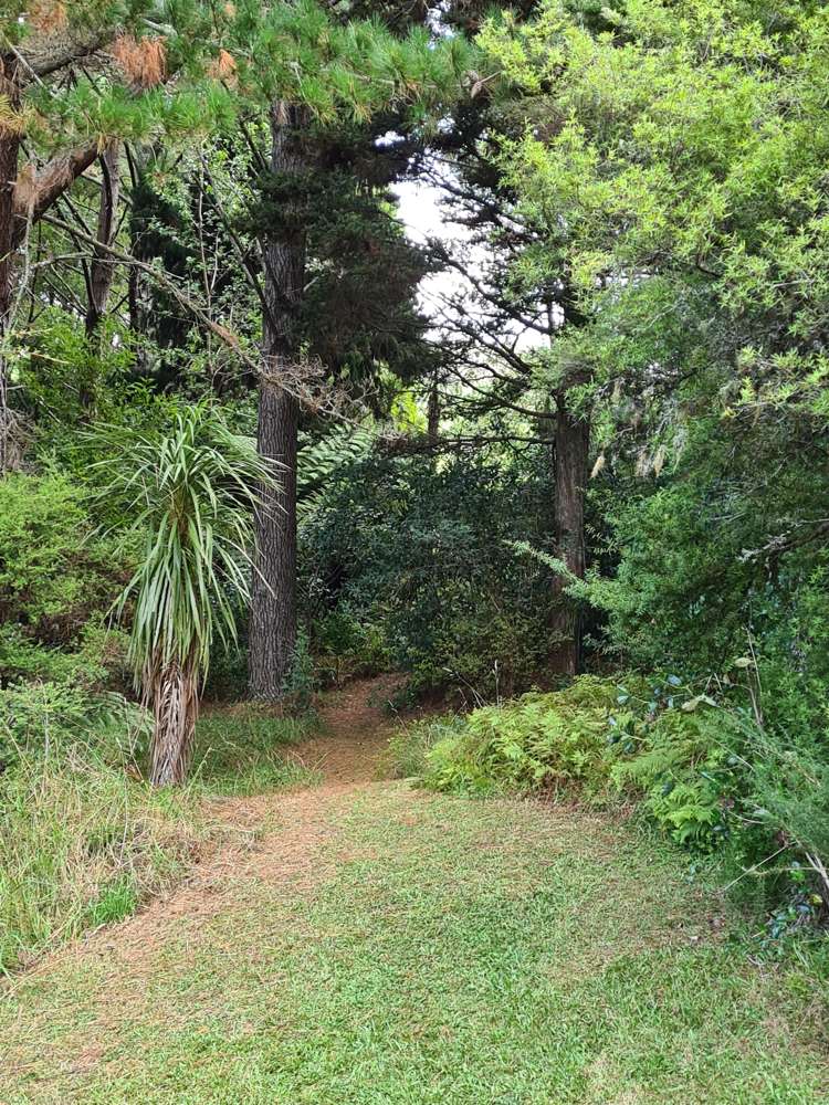 4 Mcdonnell Road Mangapai and Surrounds_14