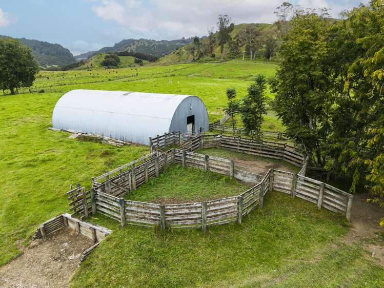 232 Kotare Road Ruakituri_9