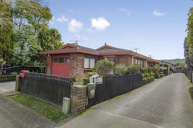 41a Bauchop Road Waterloo_3