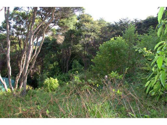 26 Okoka Road Omiha_1