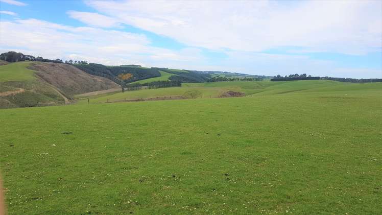 161 Roulston Road Balclutha_11