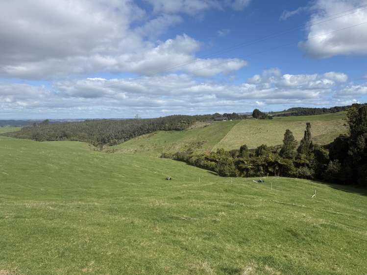 Mangati Road Puketotara_1