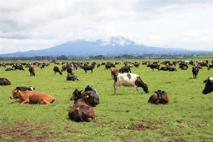 173 Anderson Road Eltham_17