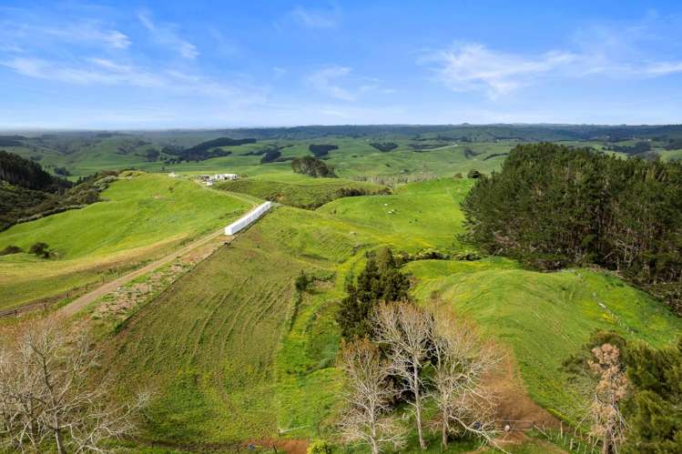 352 Kauri Road Onewhero_26