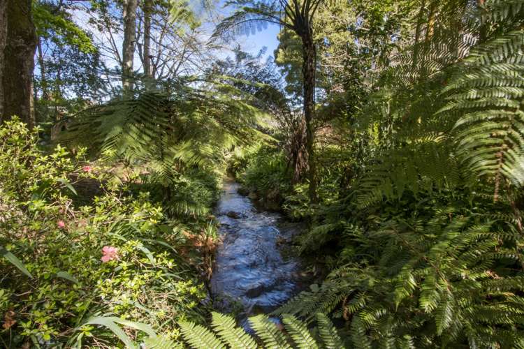 87 Old Waitekauri Road Waikino_25