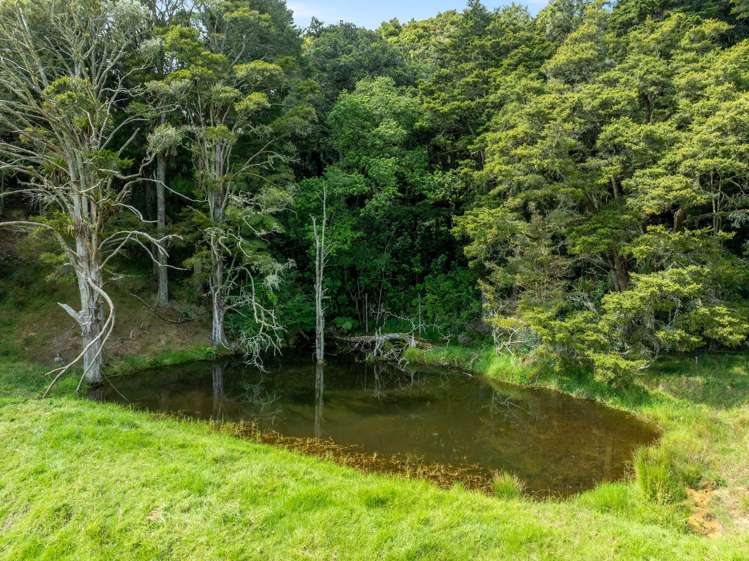 442 Whananaki North Road Hukerenui and Surrounds_20