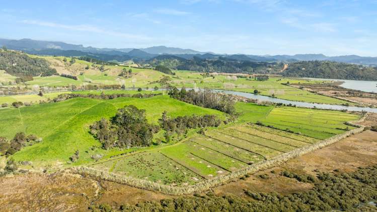 90 Camp Road, Coroglen Tairua_28