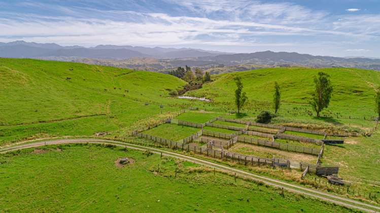 1094 Opaki Kaiparoro Road Rangitumau_5