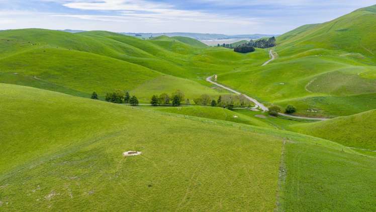 Corner Te Aute Trust Road and Aupaki Road Poukawa_10