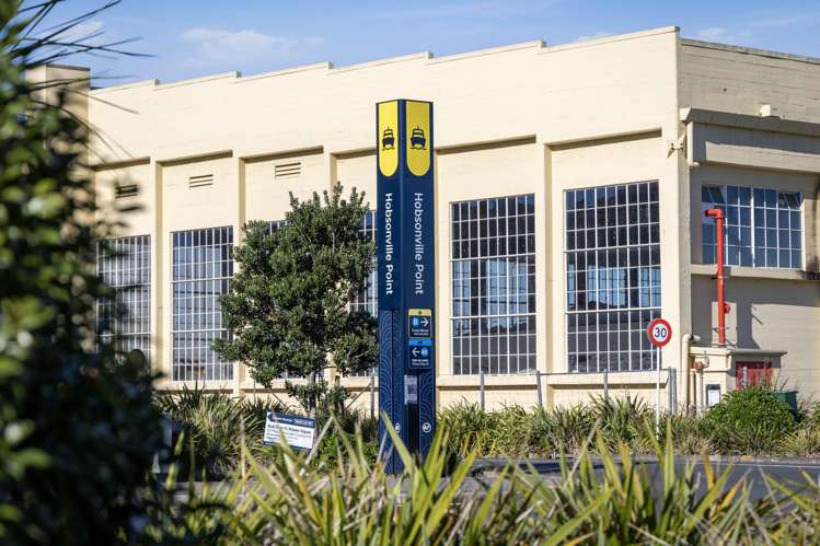 6 Mayfly Lane Hobsonville_21