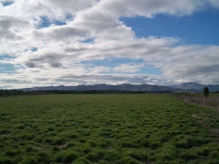 449 Greenpark Road Springston_17