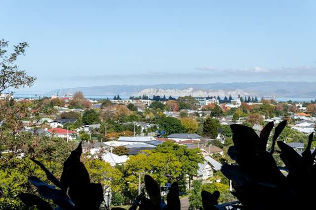 1 5/36 Sievwright Lane Whataupoko_1