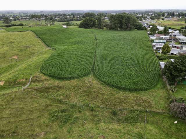 69 Overdale Road Putaruru_1